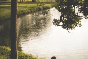 woman sitting on grass by lake
